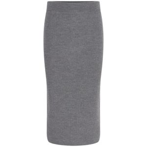 Drykorn, Dames, Rokken, Grijs, Maat: S
