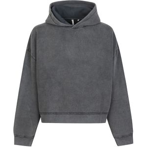 Sunflower, Heren, Sweatshirts & Hoodies, Grijs, Maat: M