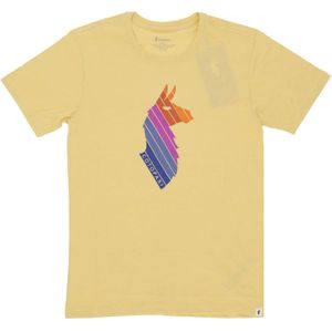 Cotopaxi, Heren, Tops, Geel, Maat: L Katoen,