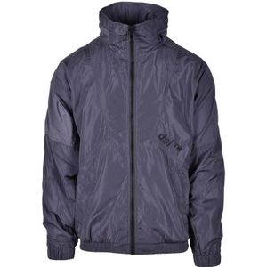 Diesel, Heren, Jassen, Grijs, Maat: S Poliester,