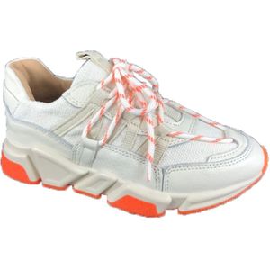 Dwrs, Dames, Schoenen, Beige, Maat: 36 EU Leer,