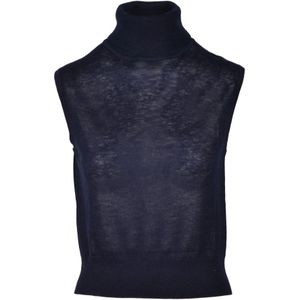 Wild Cashmere, Dames, Truien, Blauw, Maat: M Zijde,