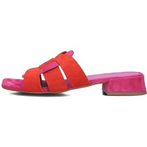 Stefano Lauran - Karin - Muiltjes - Veelkleurig - Suède