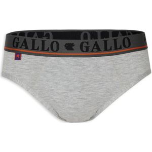 Gallo, Heren, Ondergoed, Grijs, Maat: 2XL Katoen,