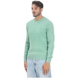 TOMMY HILFIGER Trui 'CLASSIC'  groen