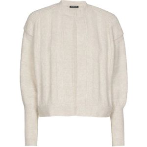 Caroline Biss, Dames, Truien, Grijs, Maat: XL