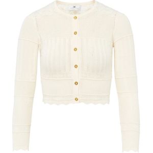 Elisabetta Franchi, Dames, Truien, Beige, Maat: S