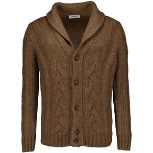 Gran Sasso, Heren, Truien, Bruin, Maat: 2XL