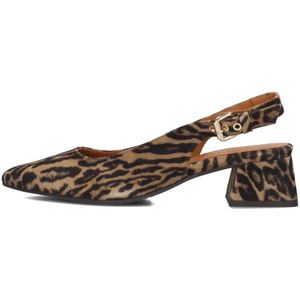 Billi Bi, Dames, Schoenen, Bruin, Maat: 37 EU
