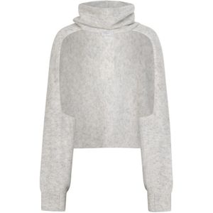 Dante 6, Dames, Truien, Grijs, Maat: ONE Size Wol,