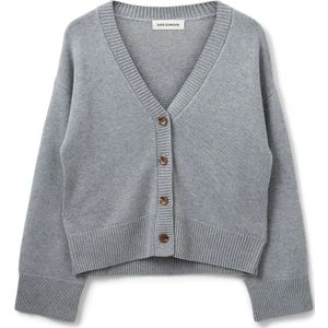 Sofie Schnoor, Dames, Truien, Grijs, Maat: L Leer,