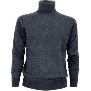Cashmere Company, Heren, Truien, Grijs, Maat: L Wol,