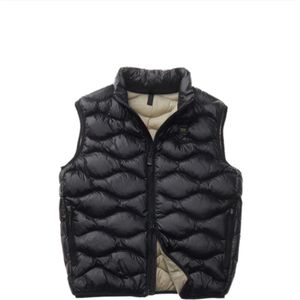 Blauer, Heren, Jassen, Zwart, Maat: L