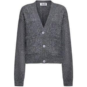 Silvian Heach, Dames, Truien, Grijs, Maat: XS Wol,