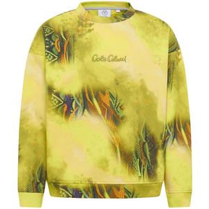 Carlo Colucci - Dynamische Gebreide Oversized Sweatshirt - Veelkleurig - Heren