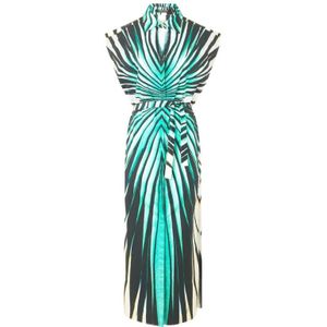 Roberto Cavalli, Dames, Jurken, Blauw, Maat: 2XS Katoen,