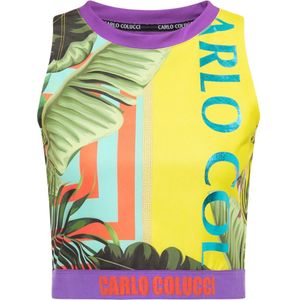 Carlo Colucci, Dames, Tops, Veelkleurig, Maat: S