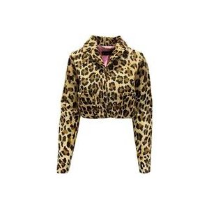 Dsquared2 Leopard Cropped Jacket , Multicolor , Dames , Maat: S