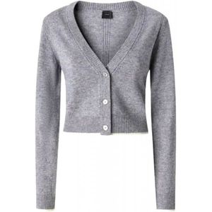 Pinko, Dames, Truien, Grijs, Maat: M