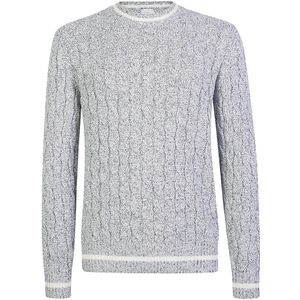 Eleventy, Heren, Truien, Grijs, Maat: M Katoen,