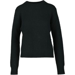 Max Mara Studio, Dames, Truien, Zwart, Maat: XS Kasjmier,