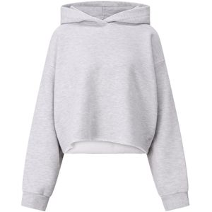 True Religion, Dames, Sweatshirts & Hoodies, Grijs, Maat: XS Katoen,