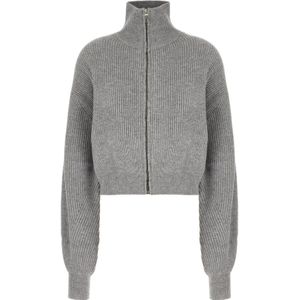 Sportmax, Dames, Truien, Grijs, Maat: L Wol,