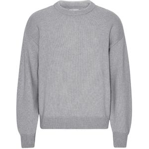 Colorful Standard, Heren, Truien, Grijs, Maat: XS Wol,