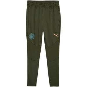 Puma, Heren, Sport, Groen, Maat: XL Poliester,