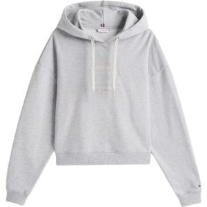 Tommy Hilfiger, Dames, Sweatshirts & Hoodies, Grijs, Maat: XS Katoen,