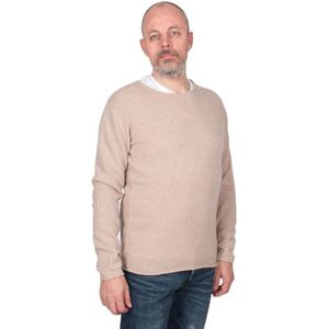 Daniele Fiesoli, Heren, Truien, Beige, Maat: XL Kasjmier,