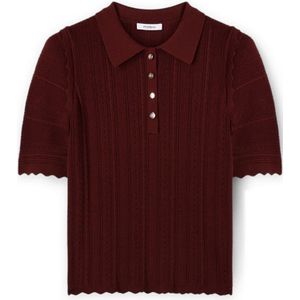 Motivi, Dames, Tops, Bruin, Maat: XS Nylon,