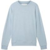 Tom Tailor, Heren, Sweatshirts & Hoodies, Blauw, Maat: XL Katoen,