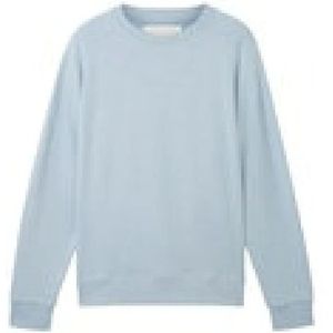 Tom Tailor, Heren, Sweatshirts & Hoodies, Blauw, Maat: XL Katoen,