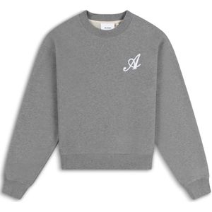 Axel Arigato, Dames, Sweatshirts & Hoodies, Grijs, Maat: XS Katoen,