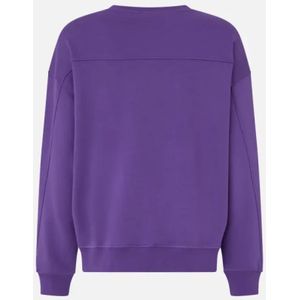 Pinko, Dames, Sweatshirts & Hoodies, Paars, Maat: M Katoen,