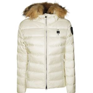 Blauer, Dames, Jassen, Grijs, Maat: XS Nylon,