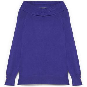 Fiorella Rubino, Dames, Truien, Paars, Maat: XS Nylon,