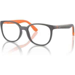 Ray-Ban, unisex, Accessoires, Grijs, Maat: 47 MM