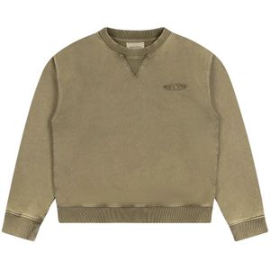 Bram's Fruit, Heren, Sweatshirts & Hoodies, Groen, Maat: S Katoen,