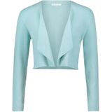 Betty & Co, Dames, Truien, Blauw, Maat: S Leer,