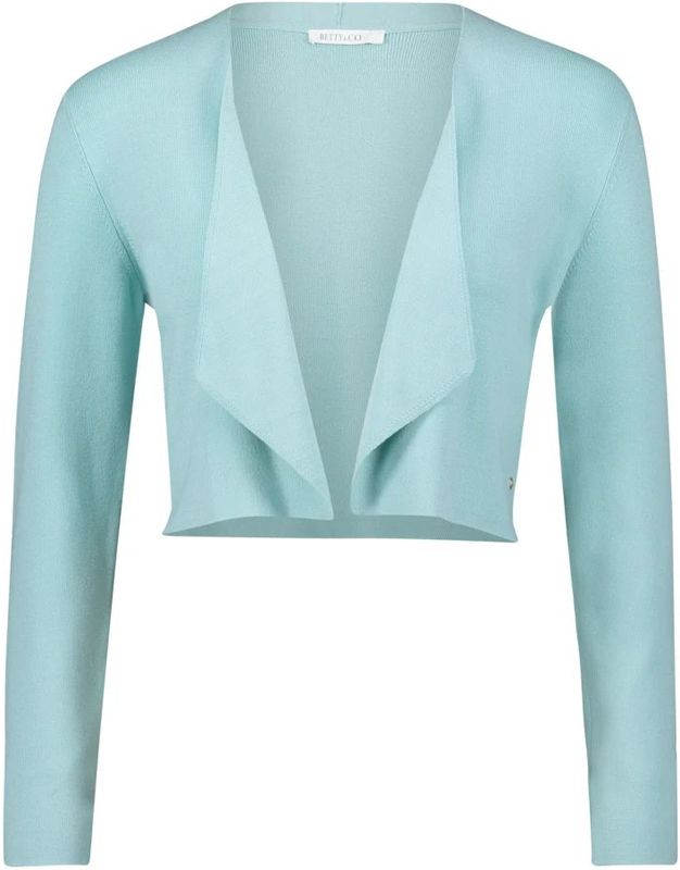 Betty & Co, Dames, Truien, Blauw, Maat: S Leer,