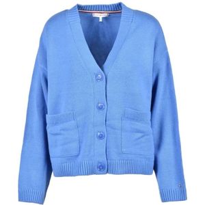Tommy Hilfiger, Dames, Truien, Blauw, Maat: L Katoen,