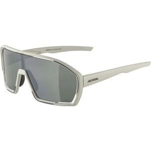 Alpina, unisex, Accessoires, Grijs, Maat: ONE Size