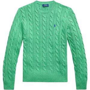 Polo Ralph Lauren Trui 'DRIVER'  groen