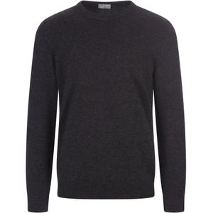 Fedeli, Heren, Truien, Grijs, Maat: L Kasjmier,