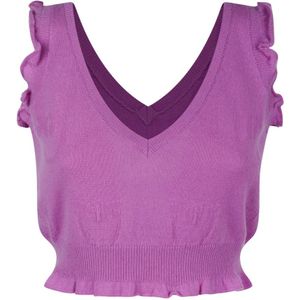 Pinko, Dames, Tops, Paars, Maat: L Kasjmier,