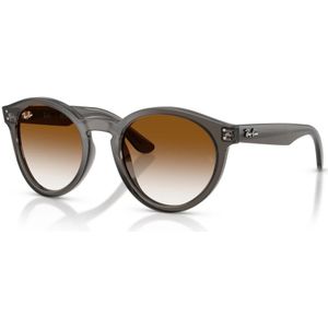 Ray-Ban, unisex, Accessoires, Bruin, Maat: 53 MM