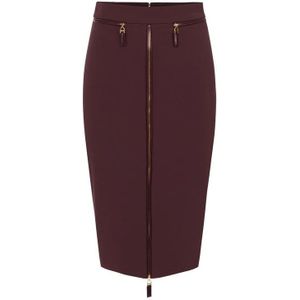 Elisabetta Franchi, Dames, Rokken, Bruin, Maat: M Leer,