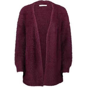 Betty & Co - Gebreid Vest - Paars - Dames